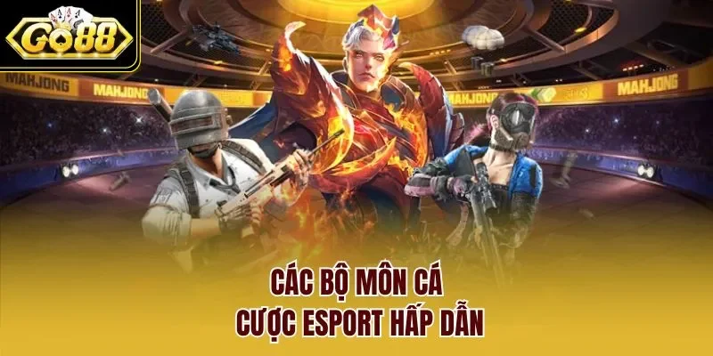 Các bộ môn cá cược Esport hấp dẫn
