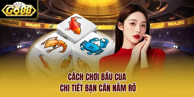 Cách chơi bầu cua chi tiết bạn cần nắm rõ